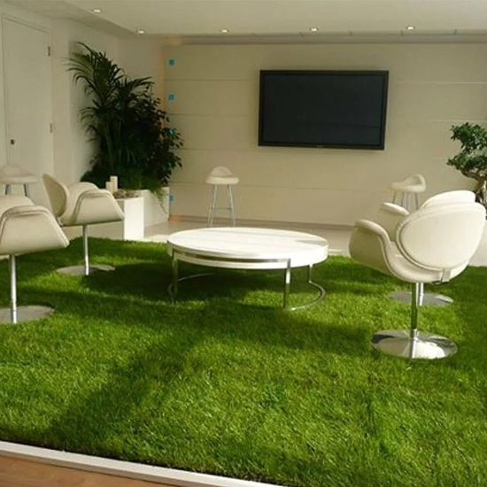 Living Room Artificial Grass