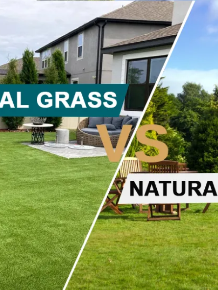Artificial Grass VS Natural Grass