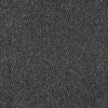 Anthracite Appleton