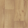 Arcadia Beige