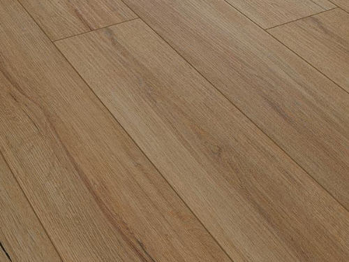 Audacity Summer Oak