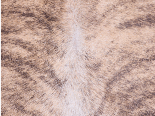 Cowhide Rug