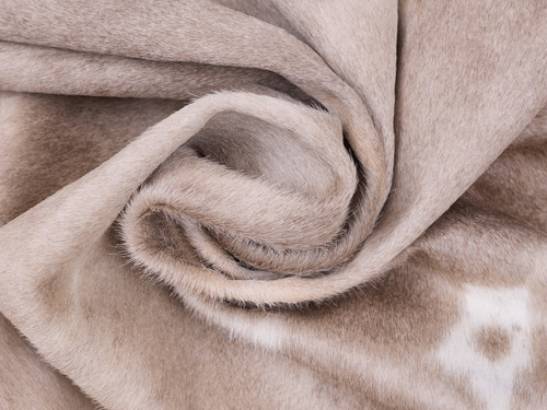 Cowhide Rug FEB25-042