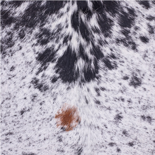 Cowhide Rug FEB25-055