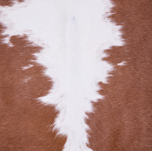 Cowhide Rug FEB25-129