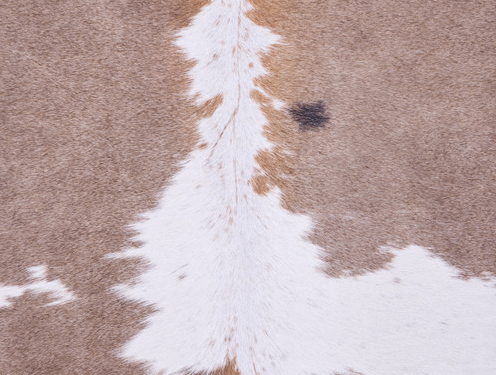 Cowhide Rug FEB25-146