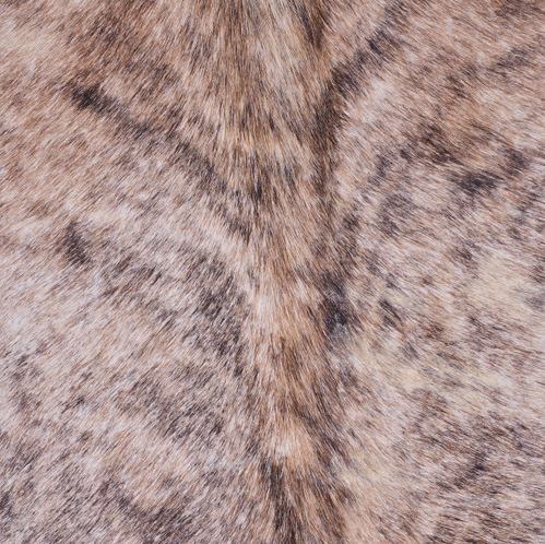 Cowhide Rug JAN25-085