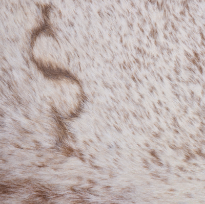 Cowhide Rug JAN25-179