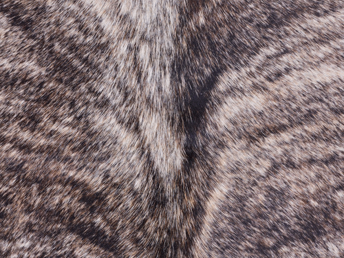 Cowhide Rug JAN25-034