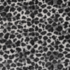 Ice Leopard