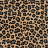 Javan Leopard JAG44
