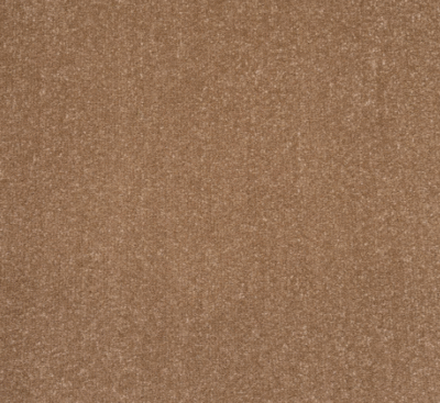 Light Brown Solaris