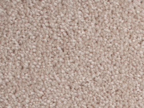 Pacific Pearl Cream