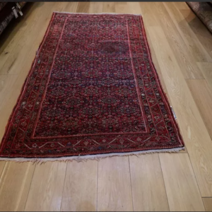 Persian Hamadan Rug
