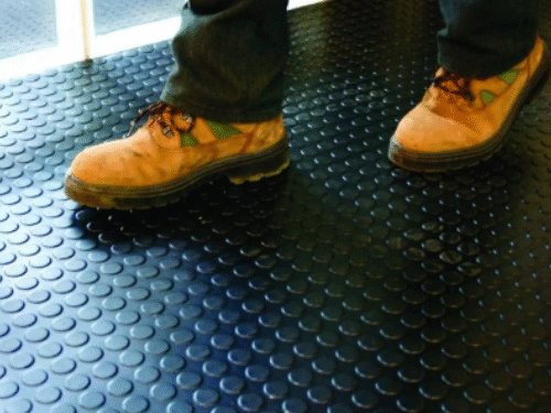 Dotted Standard Interior Mat