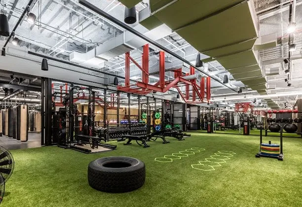 Artificial Grass Gym Flooring Dubai