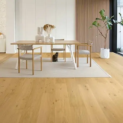 Laminate Flooring Dining Rooms