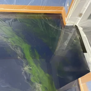 Lime Green Metallic Epoxy Flooring