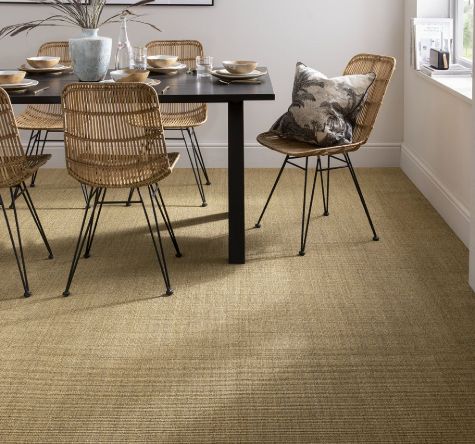 Sisal Carpets