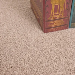 Burlington Dense Twist Living Room Carpet