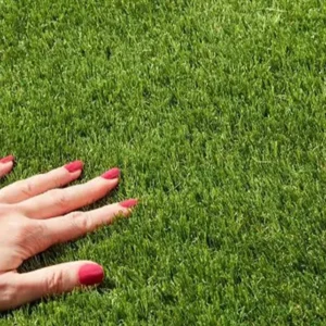 Hollywood Artificial Grass Carpet