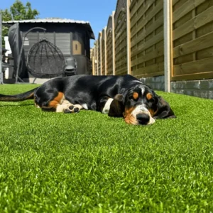 Lazy Supreme Artificial Grass Carpet (1)