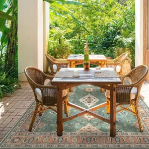 Ranier Copper Sage Outdoor Performance Rug